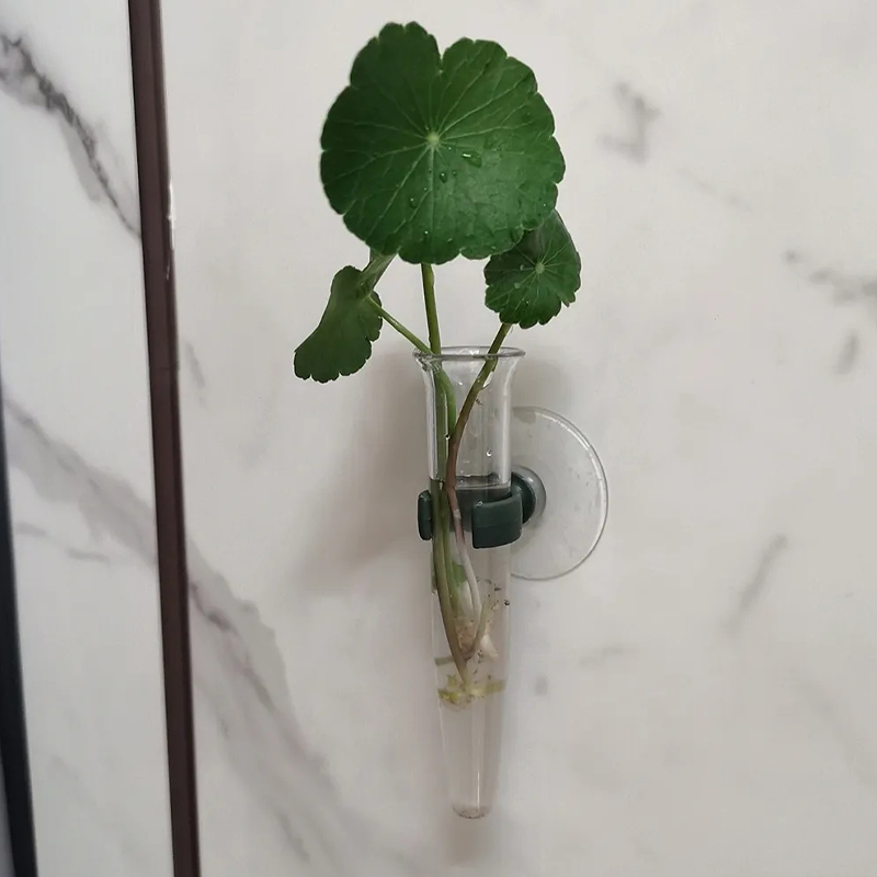11cm Floral Water Tubes Plasti - Nutrition & Fitness Class incelemesi ve fiyatı