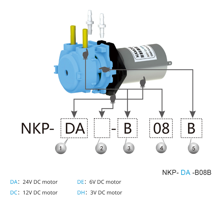 2026 new NKP 6V 12V 24V DC mot - Nutrition & Fitness Class incelemesi ve fiyatı