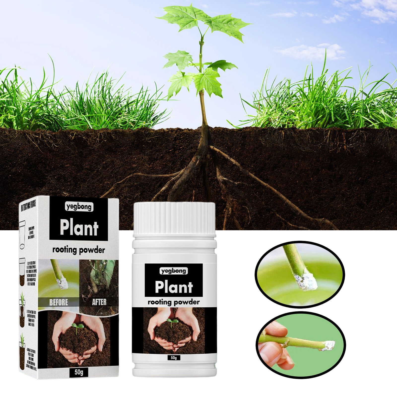 1Rare Plant Rooting Powder Pla - Roots Nutrition & Fitness Inglewood Photos incelemesi ve fiyatı