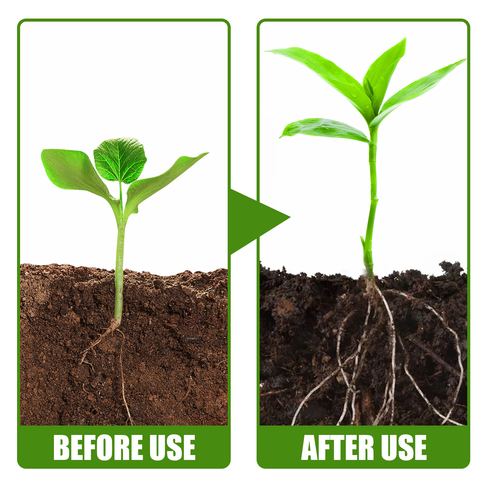 1Rare Plant Rooting Powder Pla - Roots Nutrition & Fitness Inglewood Photos incelemesi ve fiyatı