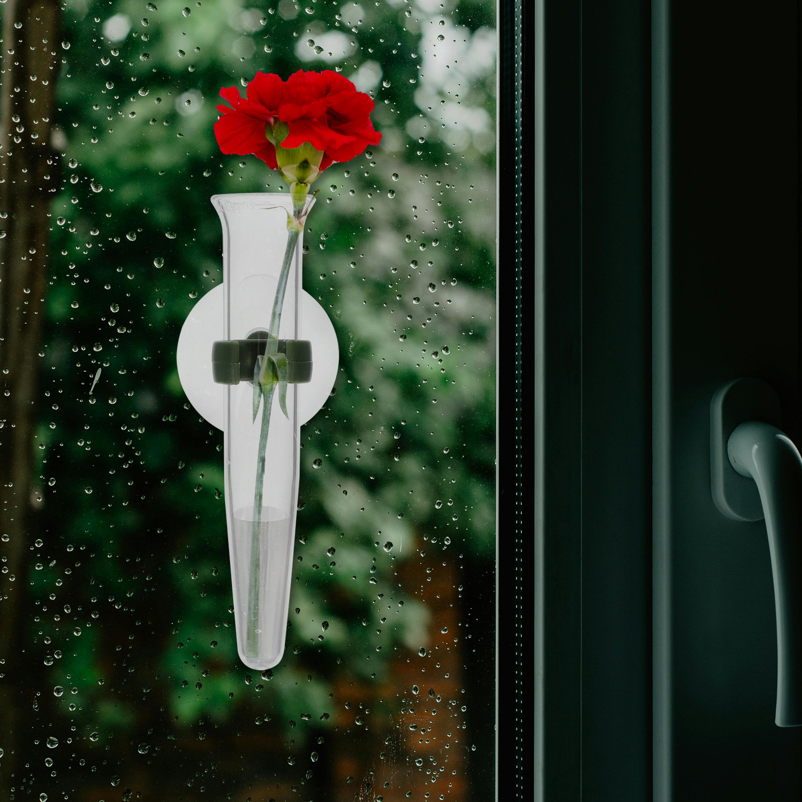 8Pcs Flower Hose Storage Silic - Nutrition & Fitness Class incelemesi ve fiyatı