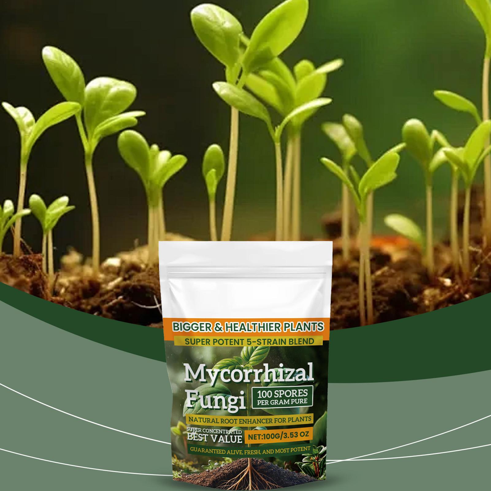 100g Organic Plant Root Enhanc - Roots Nutrition & Fitness Inglewood Photos incelemesi ve fiyatı