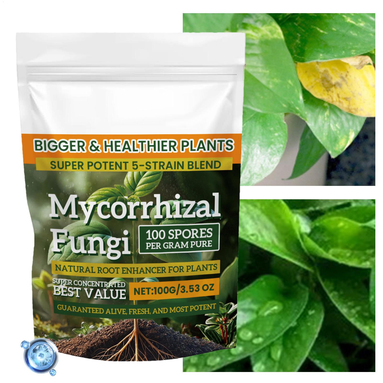 100g Organic Plant Root Enhanc - Roots Nutrition & Fitness Inglewood Photos incelemesi ve fiyatı