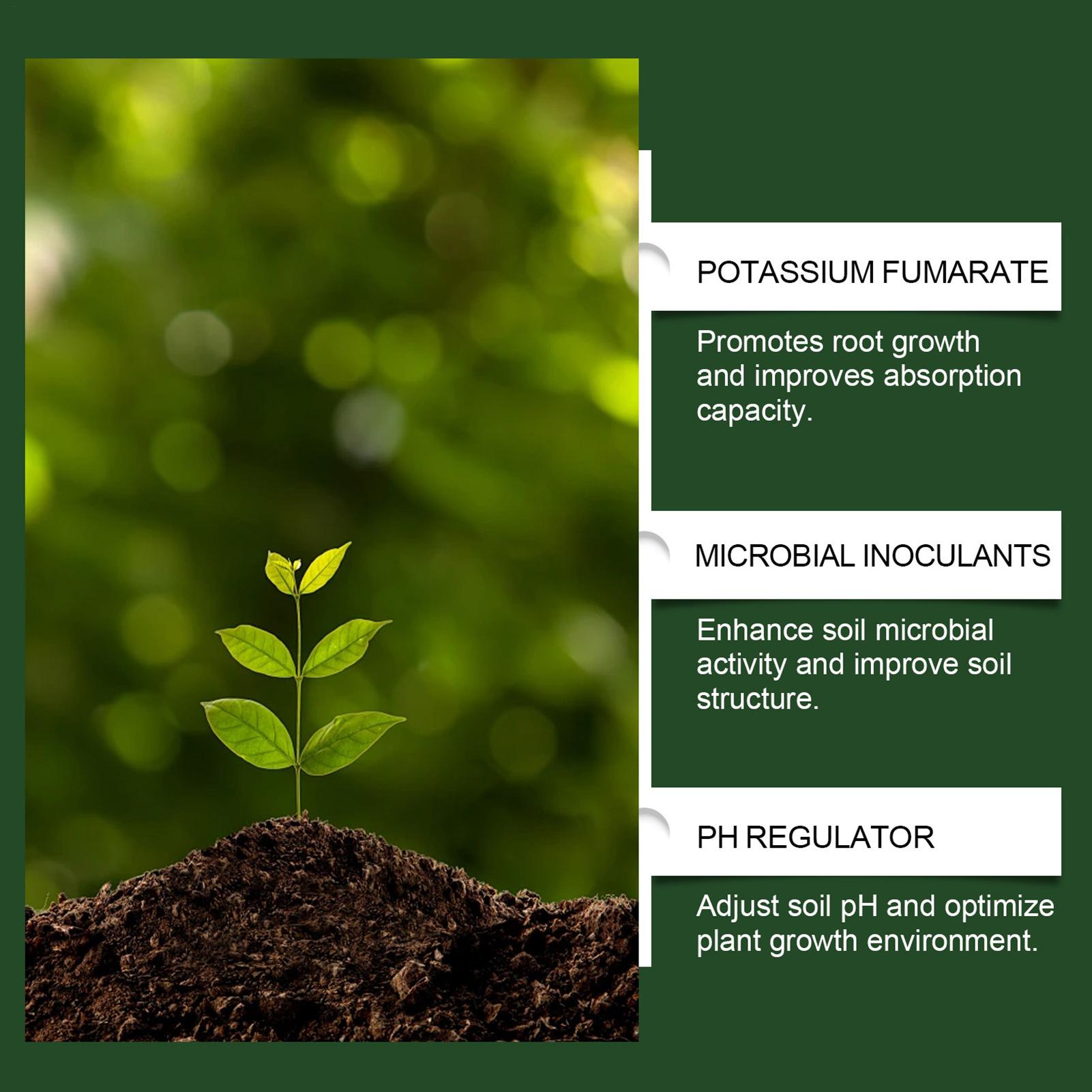 100g Organic Plant Root Enhanc - Roots Nutrition & Fitness Inglewood Photos incelemesi ve fiyatı