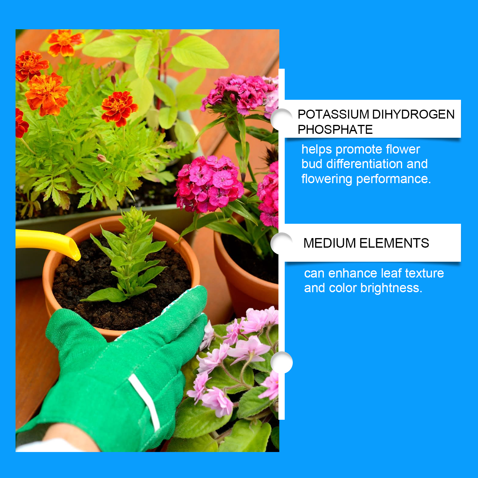 Flower Nutrient Solution Liqui - Nutrition & Fitness Class incelemesi ve fiyatı