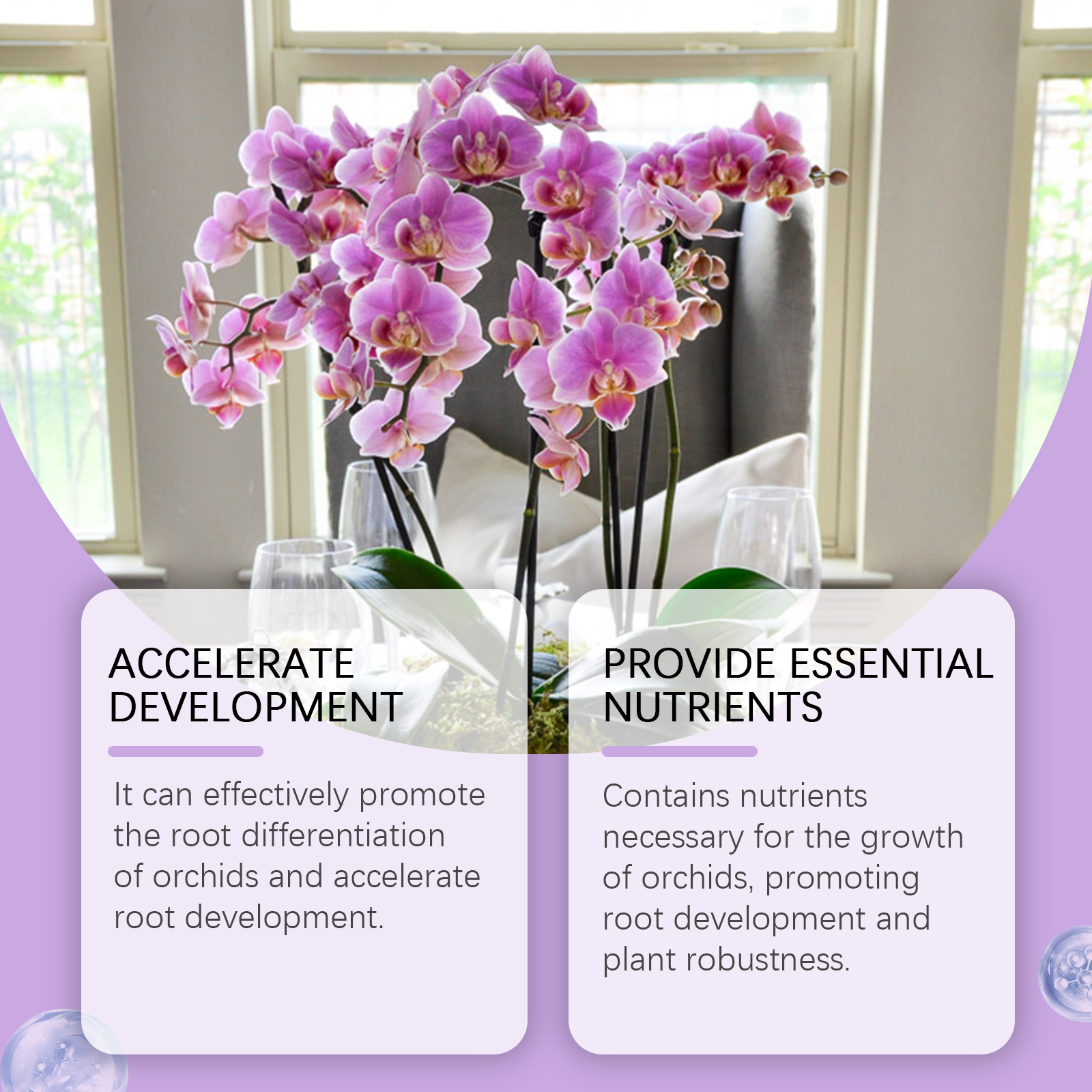 50ml Orchid Plant Growth Liqui - Roots Nutrition & Fitness Inglewood Photos incelemesi ve fiyatı